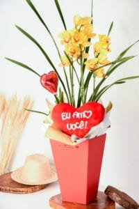 Orquídea Raio de Sol