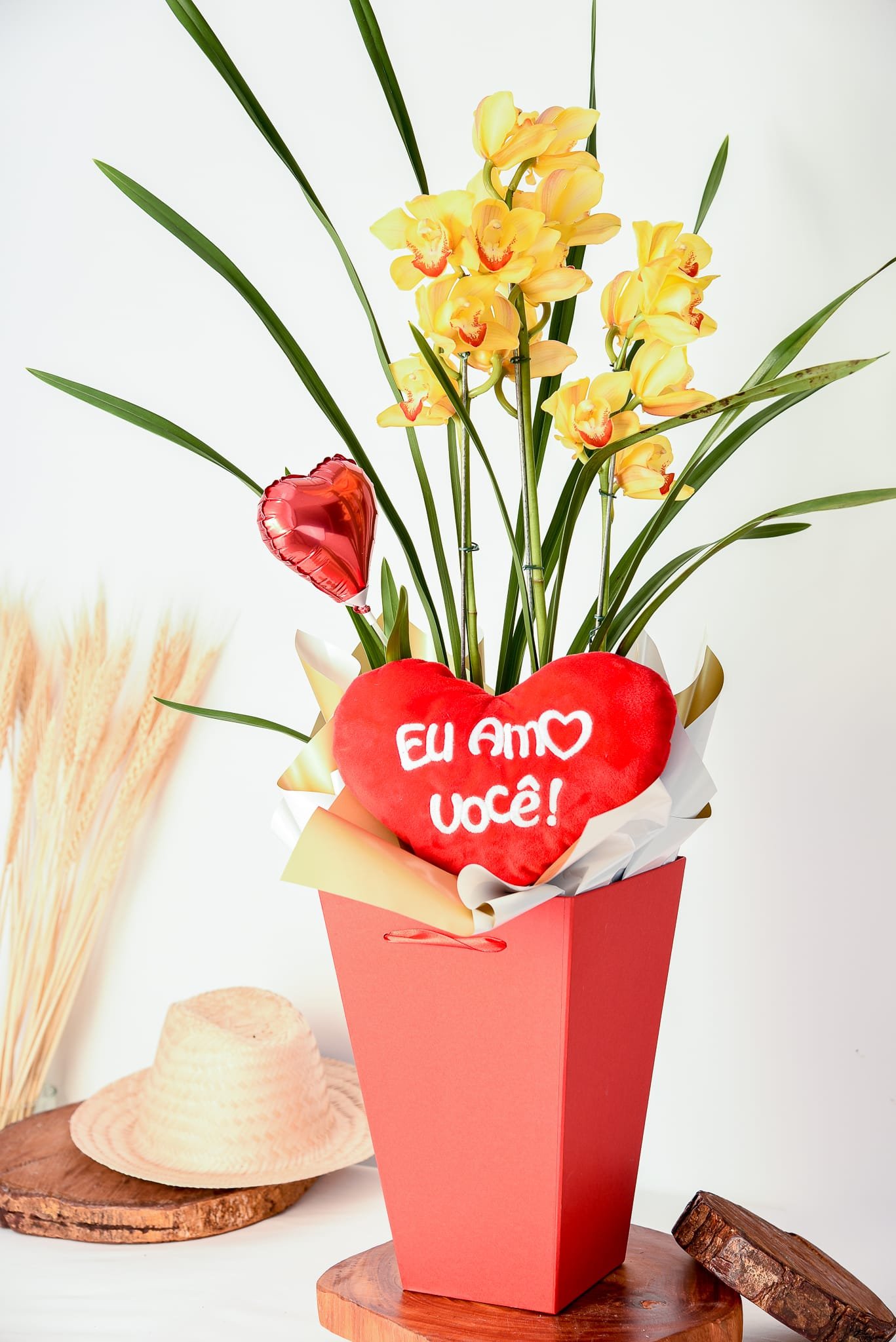 Orquídea Raio de Sol