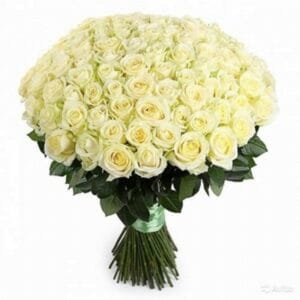 Buquê com 200 Rosas Brancas